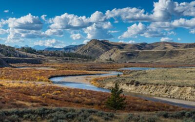 Jackson Hole “means nothing and everything”  for a Real Estate Investor