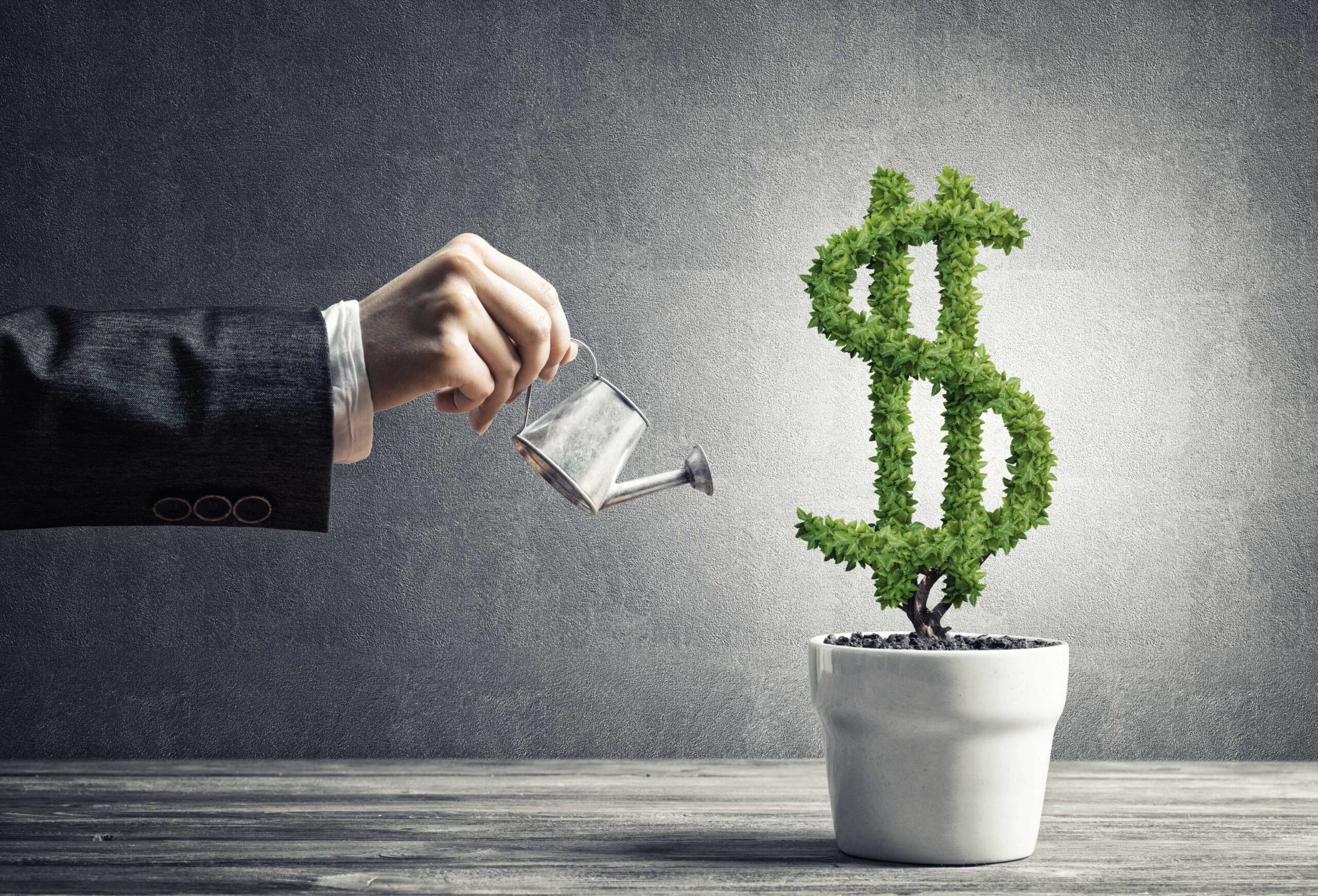 Dollar growth