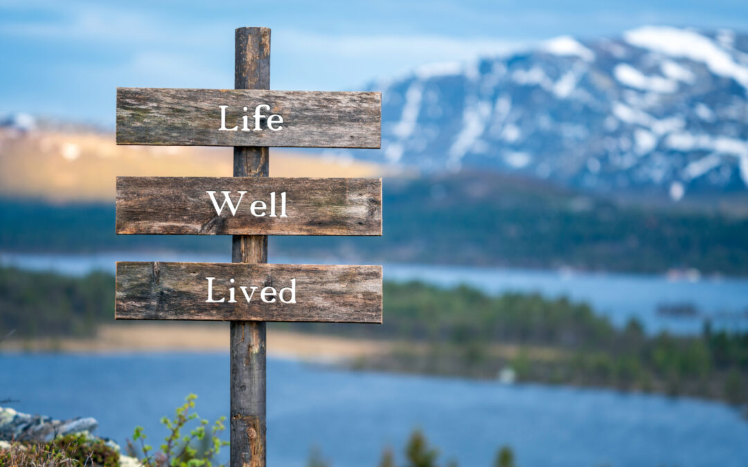 Living the Dream: Quality of Life in the Sun Belt’s Booming Cities