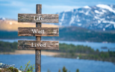 Living the Dream: Quality of Life in the Sun Belt’s Booming Cities