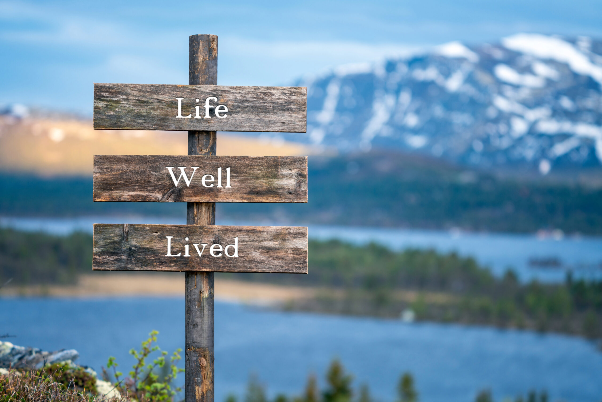 Living the Dream: Quality of Life in the Sun Belt’s Booming Cities